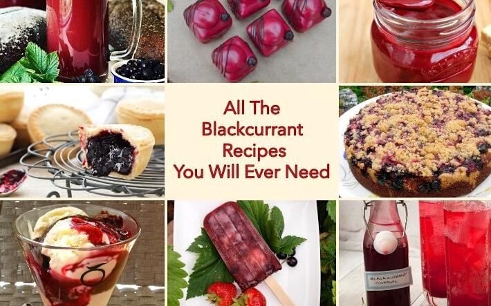 blackcurrant uses