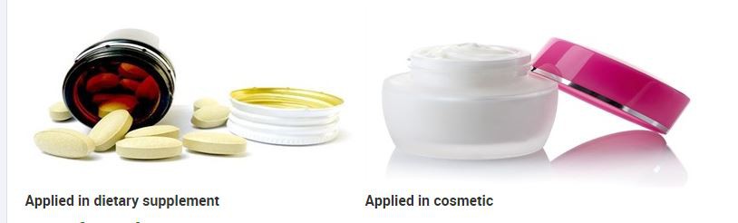 Bacopa Powder uses