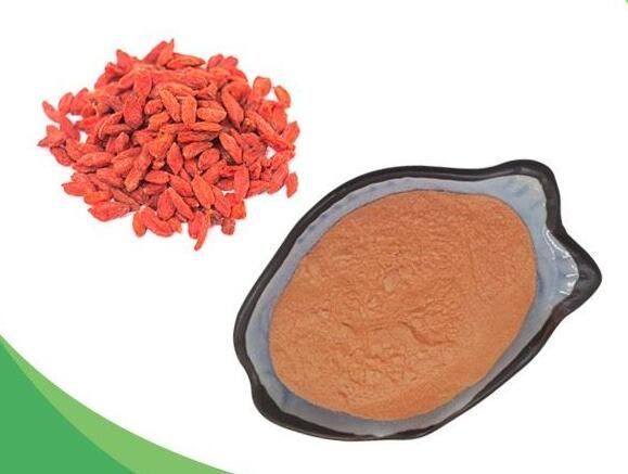 wolfberry fruit extract powder.jpg