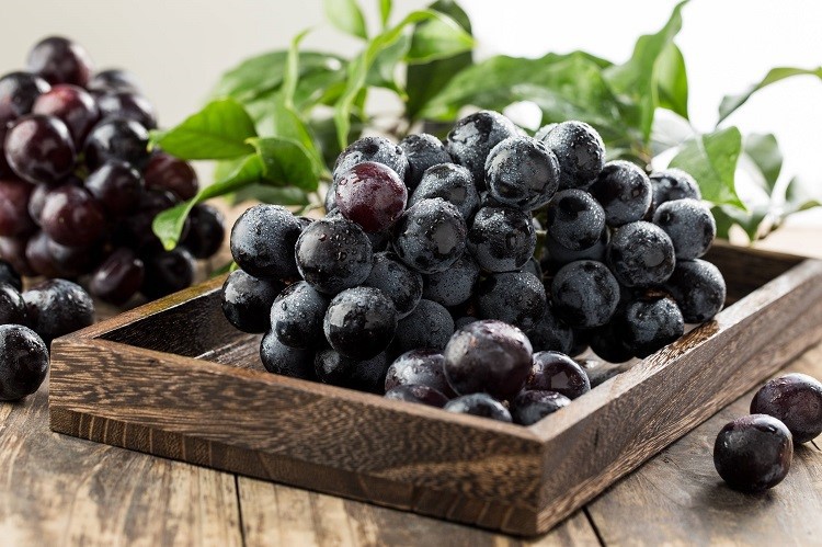 grape grape