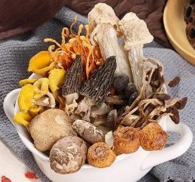 Mengapa ekstrak cendawan datang dari badan berbuah?