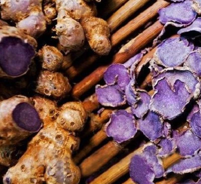 Ekstrak Halia Hitam: Panduan Lengkap daripada Rhizome kepada Serbuk Standard