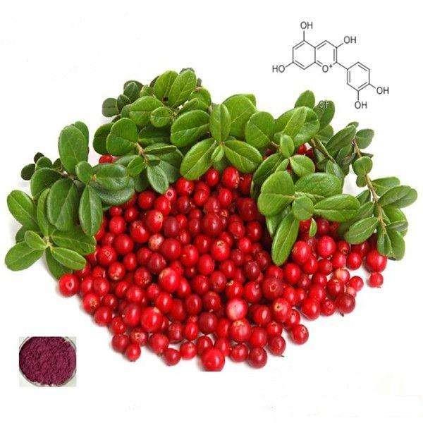 Berhadapan dengan pengadunan cranberry, pengeluar kekuatan yang kurang