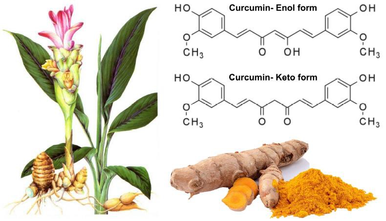 Kes: Curcumin Dan Piperine Adakah Berjaya Kompaun