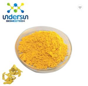 Serbuk Kunyit Organik