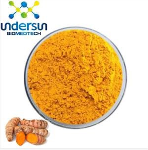 Curcumin 95