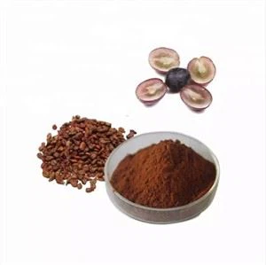 Ekstrak Biji Anggur Organik