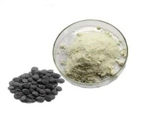 Ekstrak Kacang Griffonia