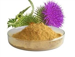 Serbuk Ekstrak Silymarin