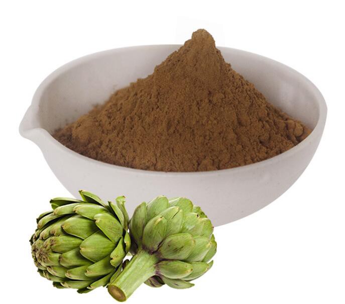 Ekstrak Artichoke