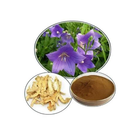 Cabutan Bellflower