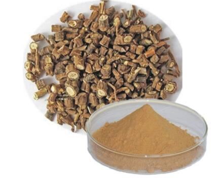 Ekstrak Bupleurum