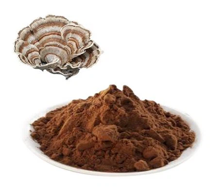 Ekstrak Cendawan Coriolus Versicolor