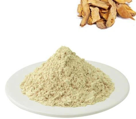Ekstrak Knotweed Jepun