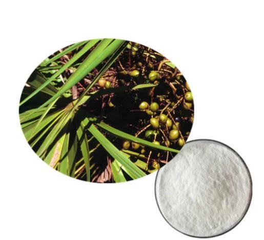 Saw Palmetto Berry Serbuk