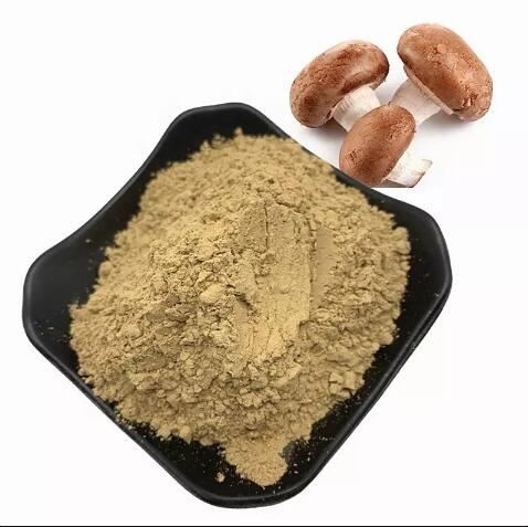 Serbuk Cendawan Shiitake