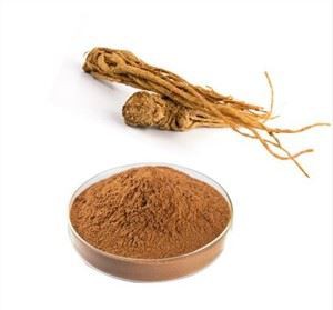 Ekstrak Angelica
