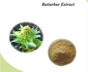Ekstrak Butterbur