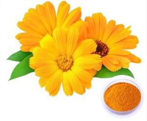 Serbuk Calendula