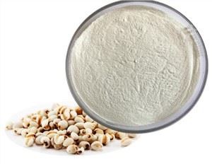 Serbuk Biji Coix Biji Kering