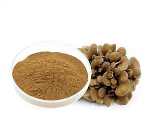 Serbuk Cendawan Maitake