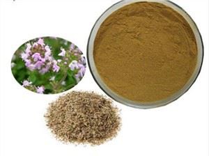 Ekstrak Thymus Vulgaris