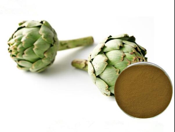 Serbuk Daun Artichoke