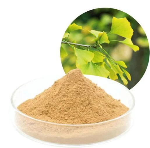 Serbuk Ekstrak Daun Ginkgo Biloba