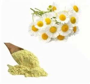 Anthemis Ekstrak Bunga Nobilis