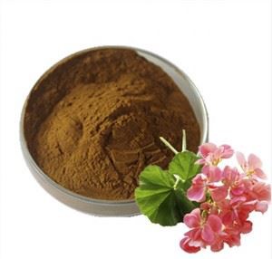 Serbuk Ekstrak Geranium