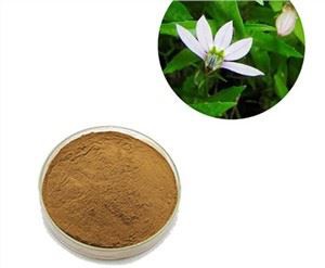Ekstrak Lobelia