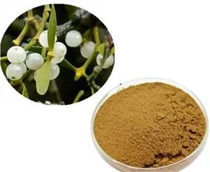 Ekstrak Daun Mistletoe