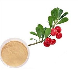 Ekstrak Bearberry Tulen