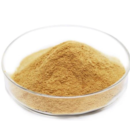 Serbuk Ume Shiso