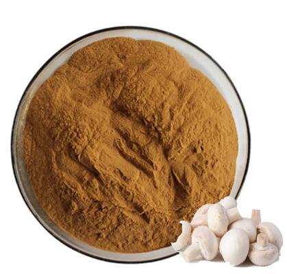 Ekstrak Buah Agaricus Bisporus
