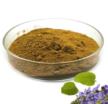 Serbuk Coleus Forskohlii