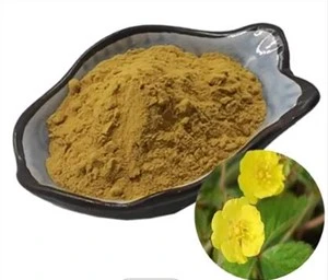 Ekstrak Akar Potentilla Erecta